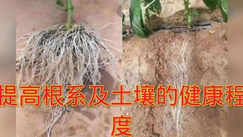 啥时候才能给小苗施肥 e94f7abb0512abac5aed96ac53c7eecef2f61d2d.jpg@480w_270h_1c