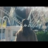 【乃木坂46】白石麻衣solo曲「じゃあね。」MV