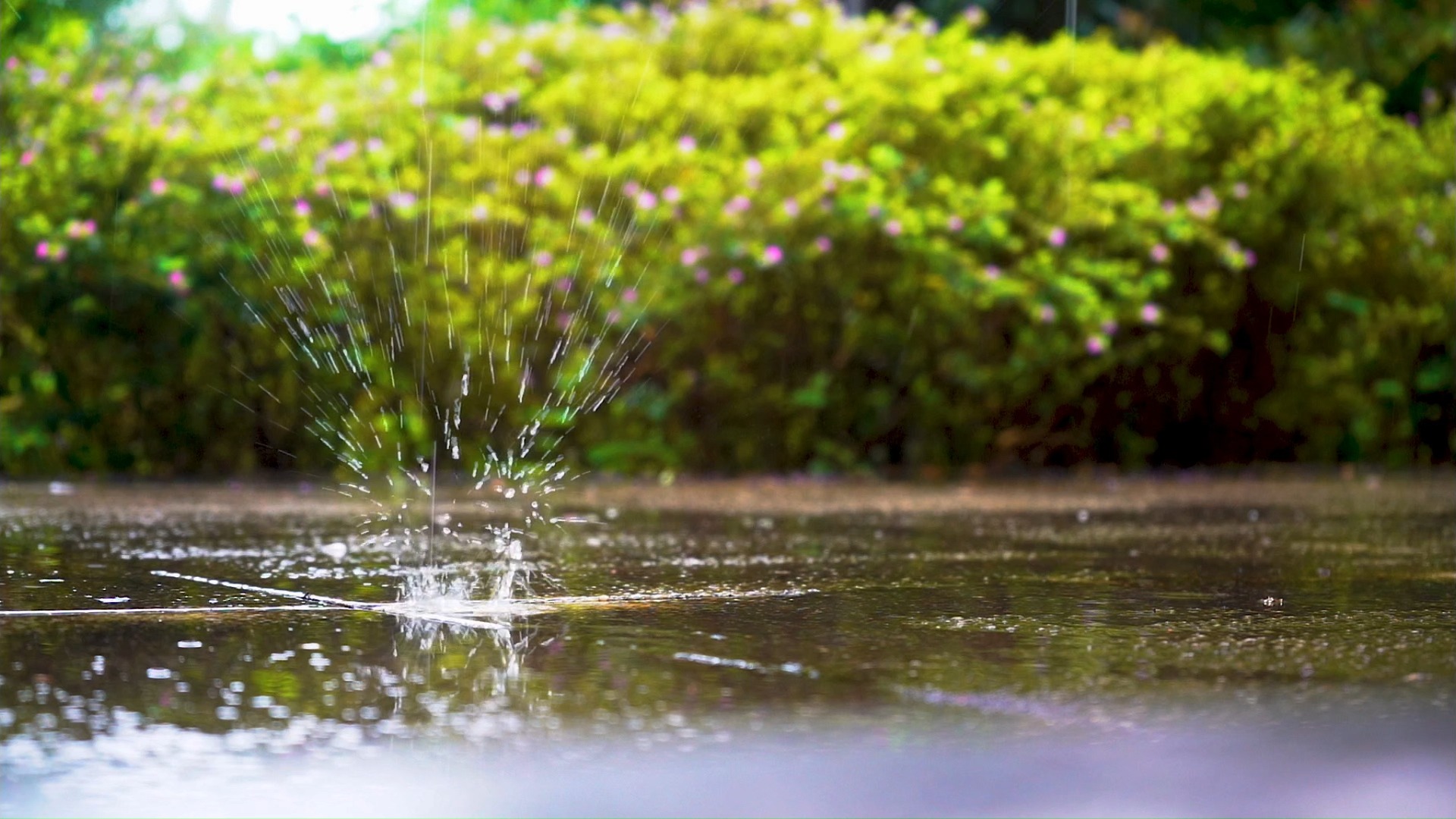 【空镜素材】城市里的雨