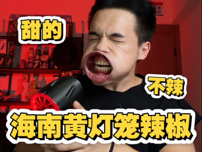 海南黄灯笼辣椒，真是甜的不辣！