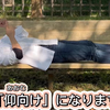 「仰向け」って何