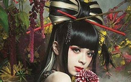 计算器奏曲谱极乐净土分享_计算器奏曲谱极乐净土图片下载