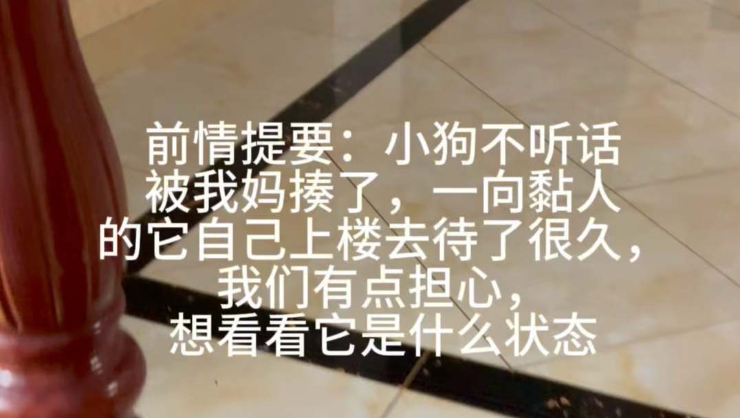 人！你怎么才来！！被妈妈揍了以后，独自上楼生闷气的小狗崽