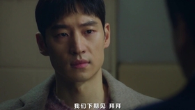 短剧阿深心心的魅力与深度，阿深心心的魅力与深度，短剧的魅力展现