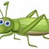 【中英字幕】和Grasshopper作者一起学参数化设计-基础篇 Basics of Grasshopper with 