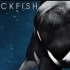 【Netflix】黑鲸 1080P中英文双语字幕 Blackfish (2013)