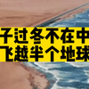 燕子过冬去的南方是哪里呢？飞越多个国家，终点让所有人大吃一惊！#旅行推荐官 #带你看世界 #燕子迁徙