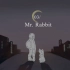 【原创曲 / 纯音乐】Mr. Rabbit【Narrator】