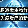 肠道菌群是抗癌队友？如何精准锁定有益菌