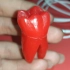 雕牙讲解-右下颌第一磨牙，有个小错误大家看置顶评论有提出
