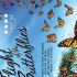 【中英文双语字幕4K超高清画质收藏版】自然界的一大奇迹 帝王蝶的迁徙 Flight of the Butterflies