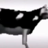 波兰牛原视频