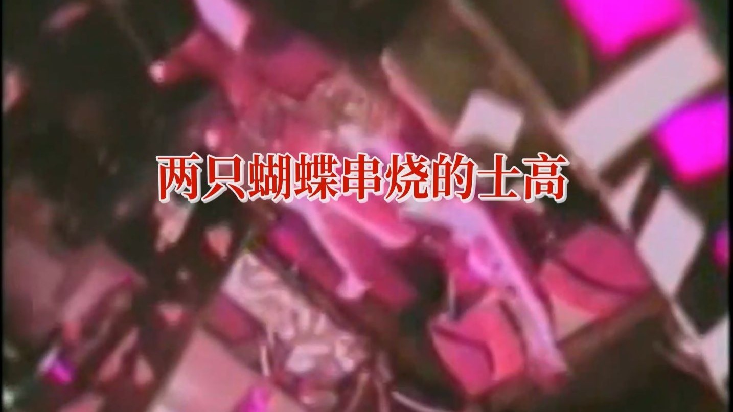 两只蝴蝶串烧的士高