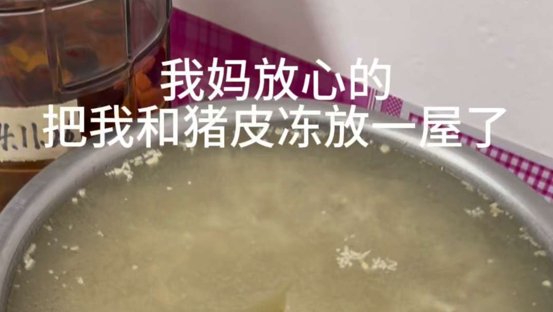【东北二凤家啊】Up主探索中，欢迎收看求三连！