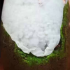 七年爱意将就-1004-靳瑞雪-解压-短篇