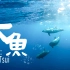 SamTsui's Music | 改编翻唱中英双语的《大鱼》
