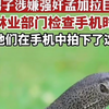据印媒4月13日报道，印度4男子涉嫌强奸孟加拉巨蜥被捕，还用手机拍了下来