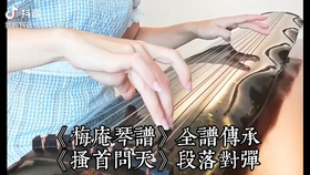 古琴教学曲谱_古琴曲谱(4)