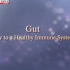 【NHK】人体 第5集 肠胃：健康免疫系统的关键 The Body EP05 Gut Key To A Healthy 