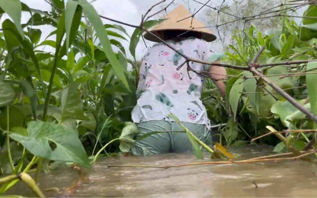 Thai sweet girl, fish in troubled waters