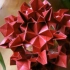 【折纸教程】。一款漂亮折纸花球——Gerardia