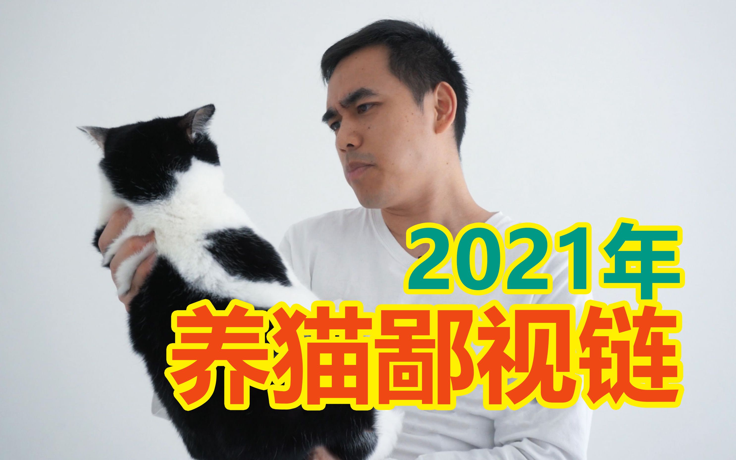 如何看待：2021年养猫鄙视链 商人搞出来的 你在哪一层？[1次更新]的第1张示图