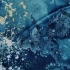 最简单的古典显影法，做一幅独一无二的装饰画 | 蓝晒湿式物影
