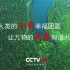 CCTV新冠肺炎防疫公益广告《野生动物保护篇》