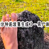 1分钟前我重生成了一具尸体
