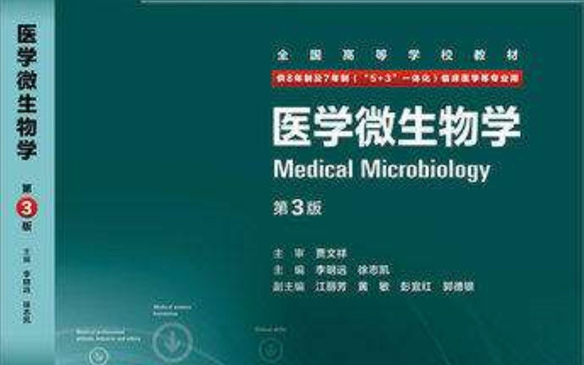 【医学微生物学（下）】微生物（病毒）全书重点梳理与期末考试总复习（内含知识点整理word）