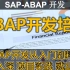 SAP ABAP 开发由入门到精通培训课程