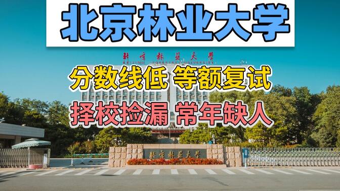 考研择校捡漏！北京林业大学这个专业常年缺人，过国家线即录取！
