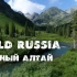 俄罗斯野生动物自然保护区！