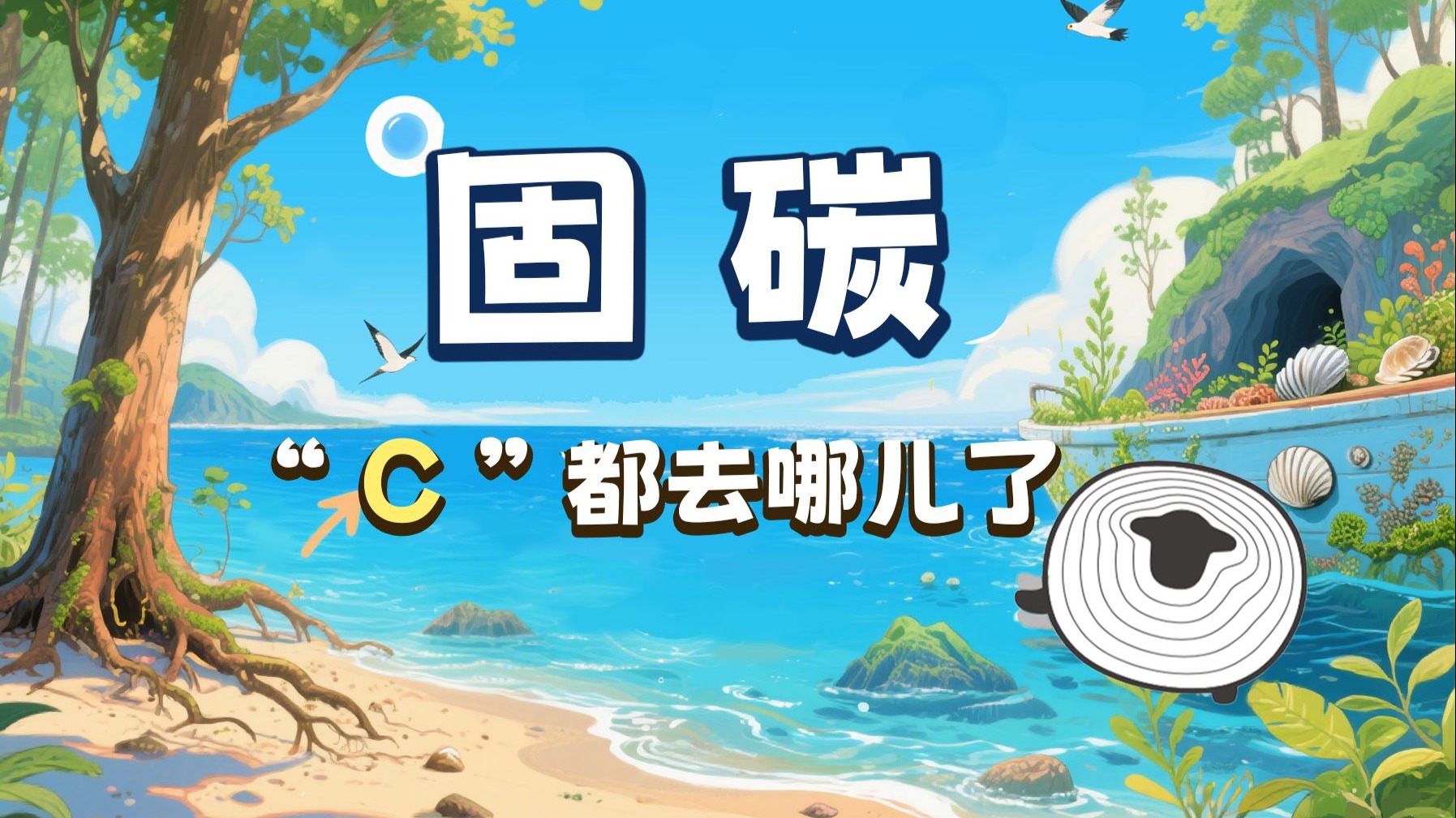 高考前，再看一眼考了很多次的固碳！【羊羊地理 | 手绘动画127】