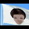 [重制版+五倍速]高精旗帜