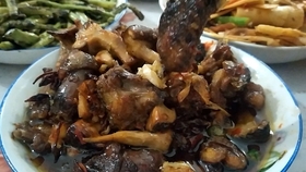 啤酒鸭做出来为什么苦 ea8ace6a081bbb736461a0af1e4988a44140ddac.jpg@280w_158h_1c_100q.jpg