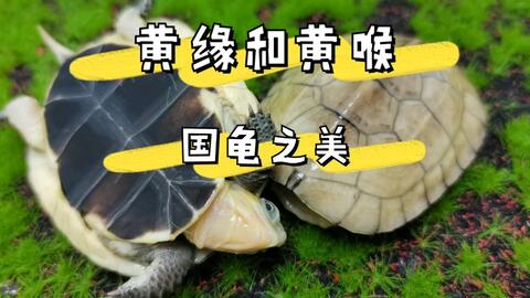 ea906db2b99b090061e32b4519a8e8848bc4638b.jpg@480w_270h_1c