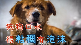 eaa56027d78f348711892f314e6b32751b68edfc.jpg@280w_158h_1c_100q.jpg