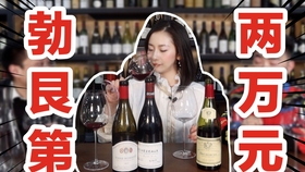 怎么开红酒视频 eac71a76d423c9983150cba0c63e69573f275c44.jpg@280w_158h_1c_100q.jpg