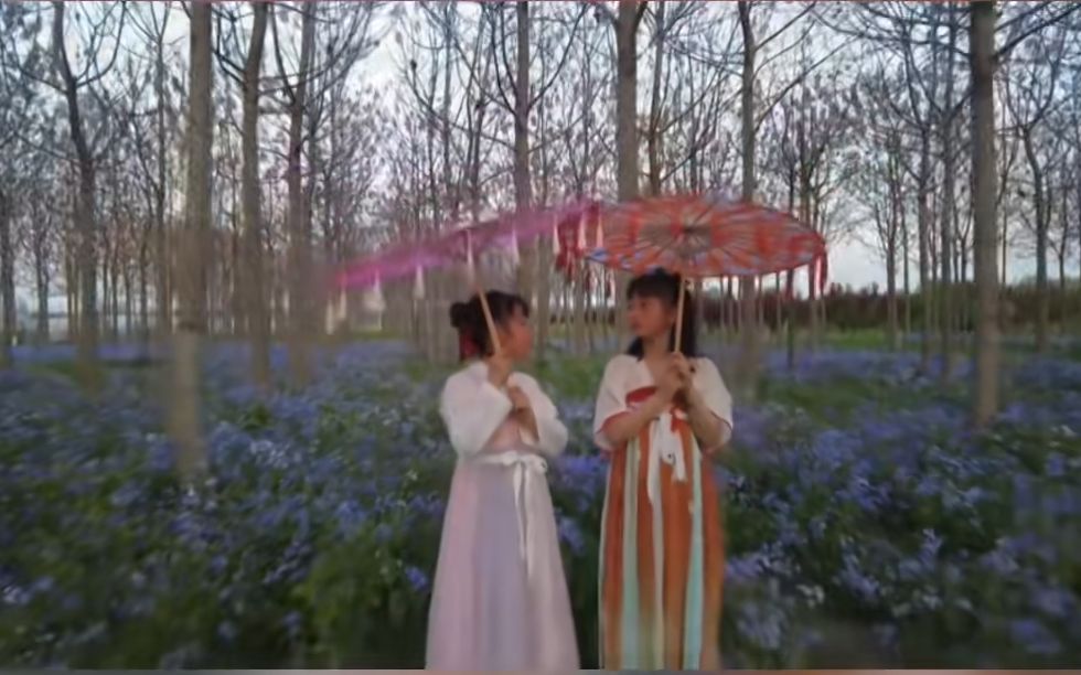 【行走河南·读懂中国】四月的兰考，泡桐花开，花香满城，生机盎然。