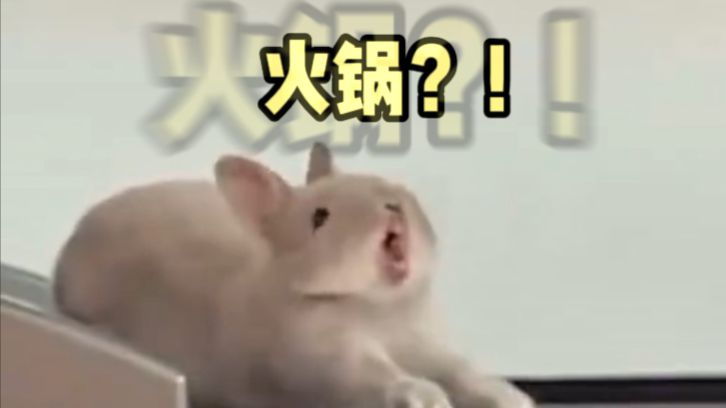 【动物配音】说好泡澡怎么是红油汤底？！