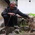 农村放牛老爷爷，养了只纯正的广西田园犬，在大山里陪伴他3年