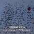 [怀旧向]1990年北京亚运会圣火传递，那时候的人都很朝气蓬勃