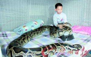 蛇是怎么排泄的 eafb406f5e7665368c88e6184f579638a9c86d29.png@336w_190h_1c.png