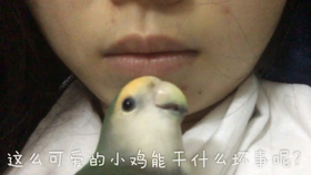 eb0260b87644a9e8c8d726354bf89cbf6967eb52.jpg@280w_158h_1c_100q.jpg