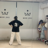 【自存自检】欲于辉夜城起舞