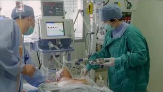 eb1bbe58e8a9c84a0177c3f4368422d25f8471e5.jpg@336w_190h_1c.jpg