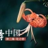 《花季中国》第一季 第二集 花之奇 【CCTV纪录】