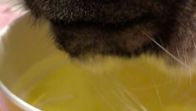 eb3600273131138466a980f3de16d44c9e76cbb5.jpg@280w_158h_1c_100q.jpg