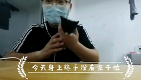 撕心裂肺的痛哭的视频分手 eb37e141e525305292037a2e154c5a0242f87d72.jpg@280w_158h_1c_100q.jpg